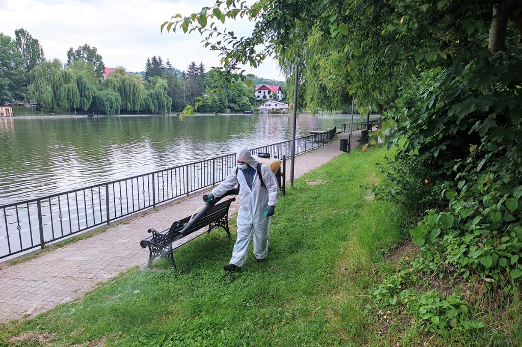 O nouă acțiune de dezinsecție în parcurile și zonele verzi din Câmpina, în perioada 25-27 august