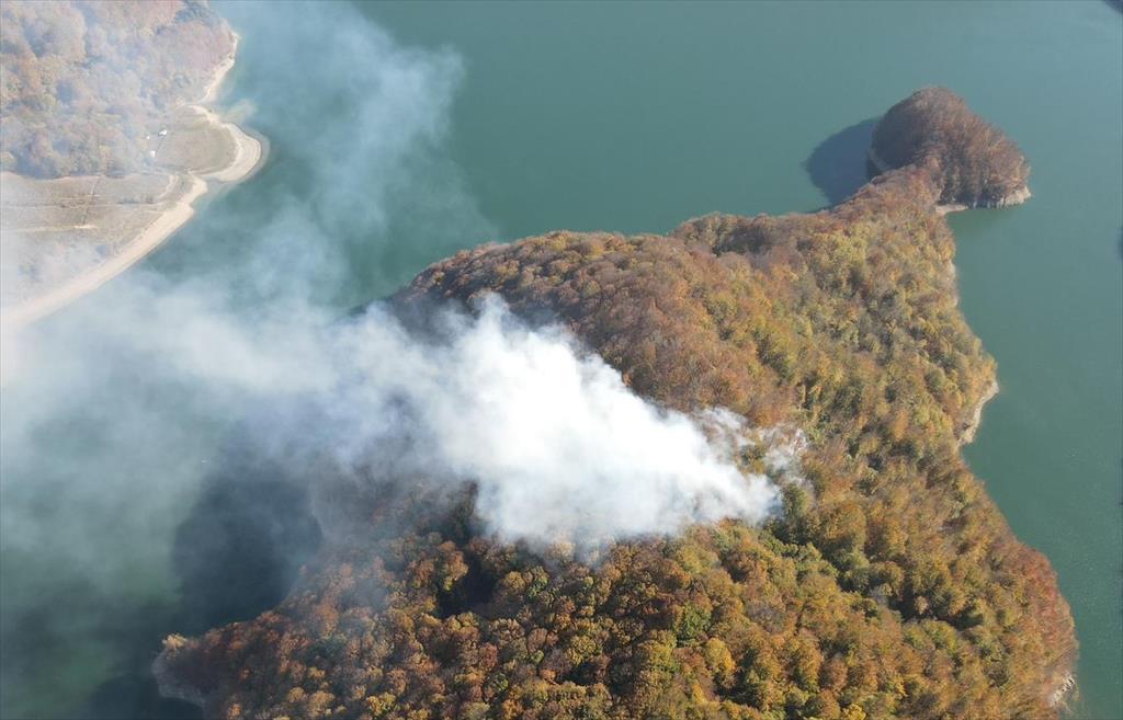 Arde pădurea în zona Barajului Paltinu. Pompierii militari se luptă cu flăcările în condiții extrem de dificile