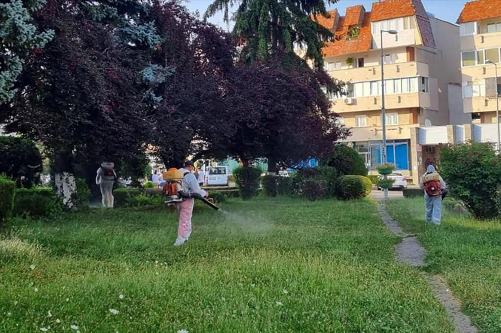 21-23 iulie, acțiuni de dezinsecție în parcurile și zonele verzi din Câmpina
