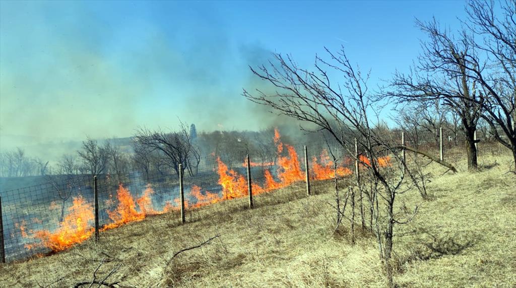 Acțiuni de verificare, dispuse de prefectul județului Prahova, ca urmare a valului de incendii necontrolate de vegetație uscată. 623 astfel de incendii în mai puțin de trei luni
