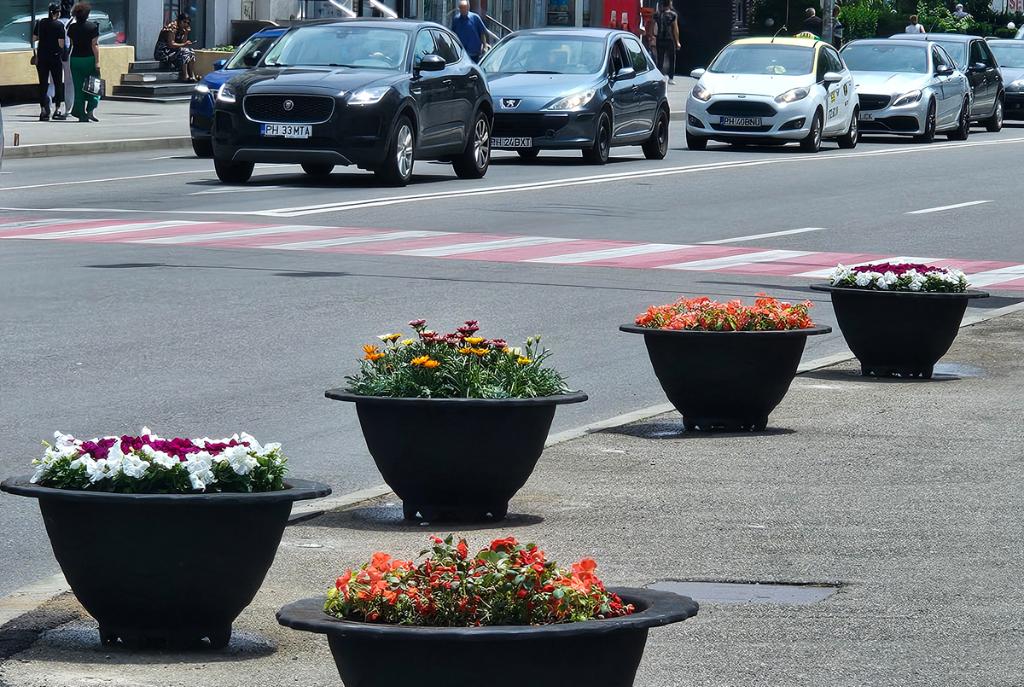 În zona centrală au fost amplasate noile jardiniere stradale achiziționate de Primăria Câmpina