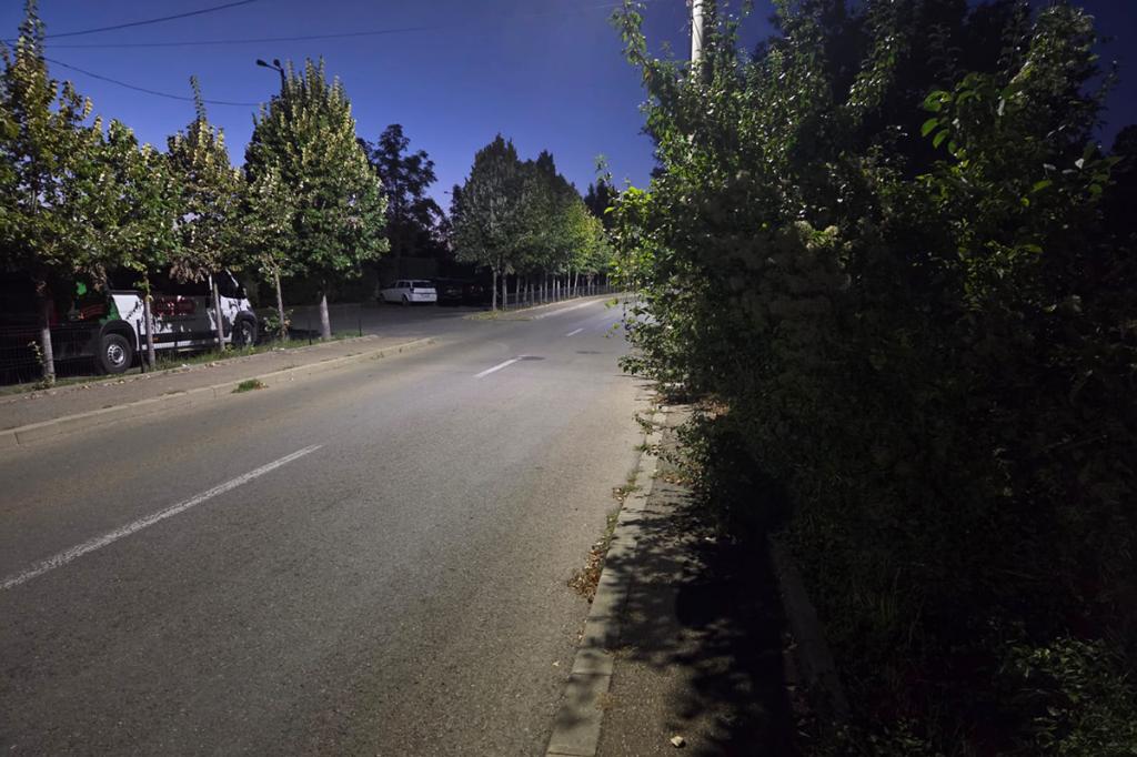La Câmpina, vis-a-vis de Cimitirul „Învierea lui Lazăr” de pe Strada Slt. Erou Bogdan Vasile, trotuarul este inundat de vegetație
