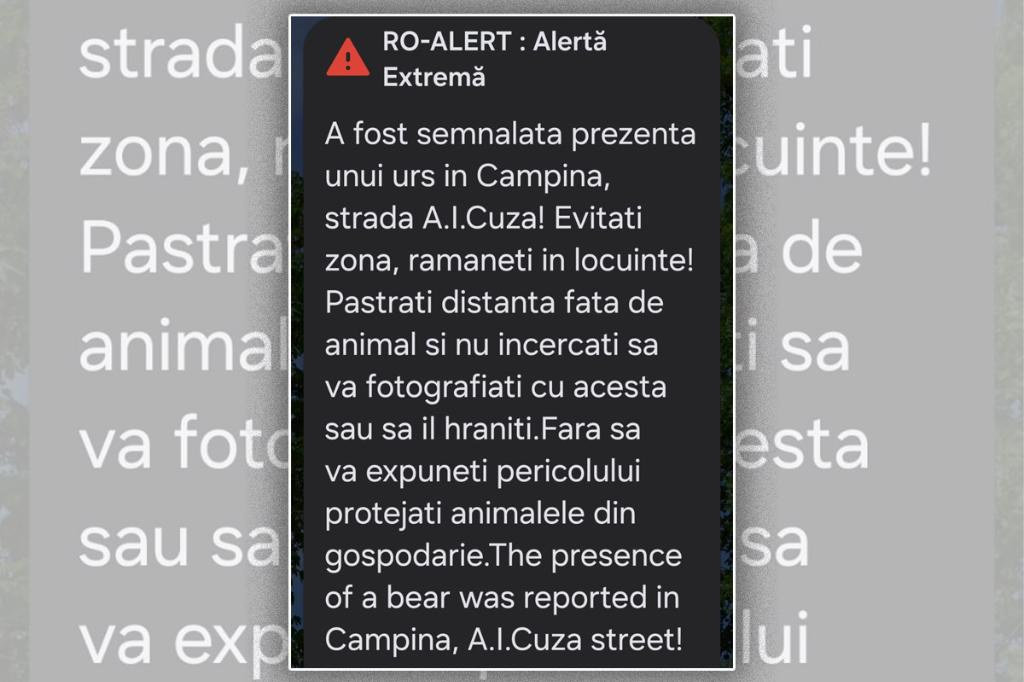 Alertă în Câmpina! Urs pe Strada Al.I. Cuza, ziua în amiaza mare