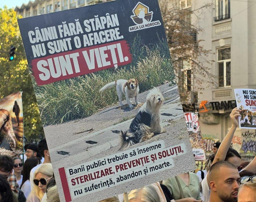 Protest pentru drepturile animalelor. Mii de oameni, o singură voce!