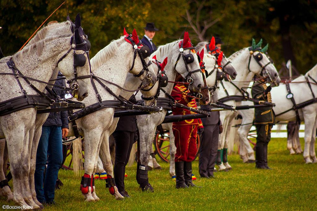 Karpatia Horse Show 2018, în ultimul week-end din septembrie, pe Domeniul Cantacuzino de la Florești - Prahova
