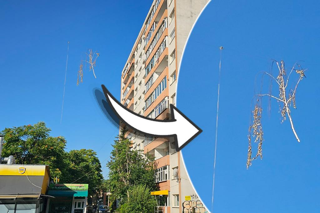 Niște crengi atârnă de un cablu electric de zile bune, în stația de la Salcie