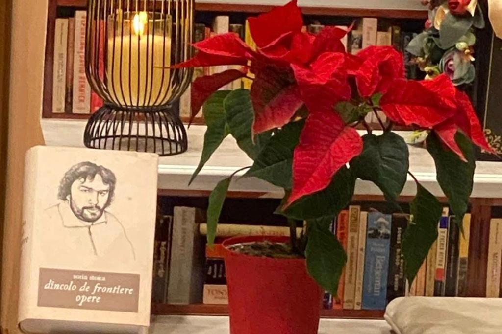 Seratele Culturale Elstar. Evocarea lui Sorin Stoica, sub semnul emoției