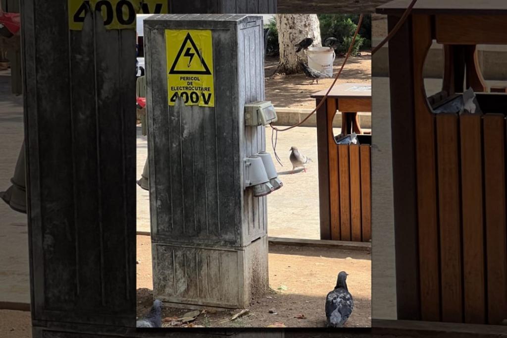 În atenția autorităților. V-ați lăsa copiii să se joace pe lângă mizeria asta din Pasajul de la Ceas?