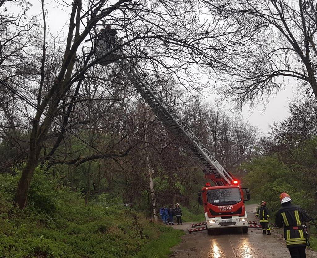 Un copac căzut a lăsat fără energie electrică sute de oameni din Valea Doftanei