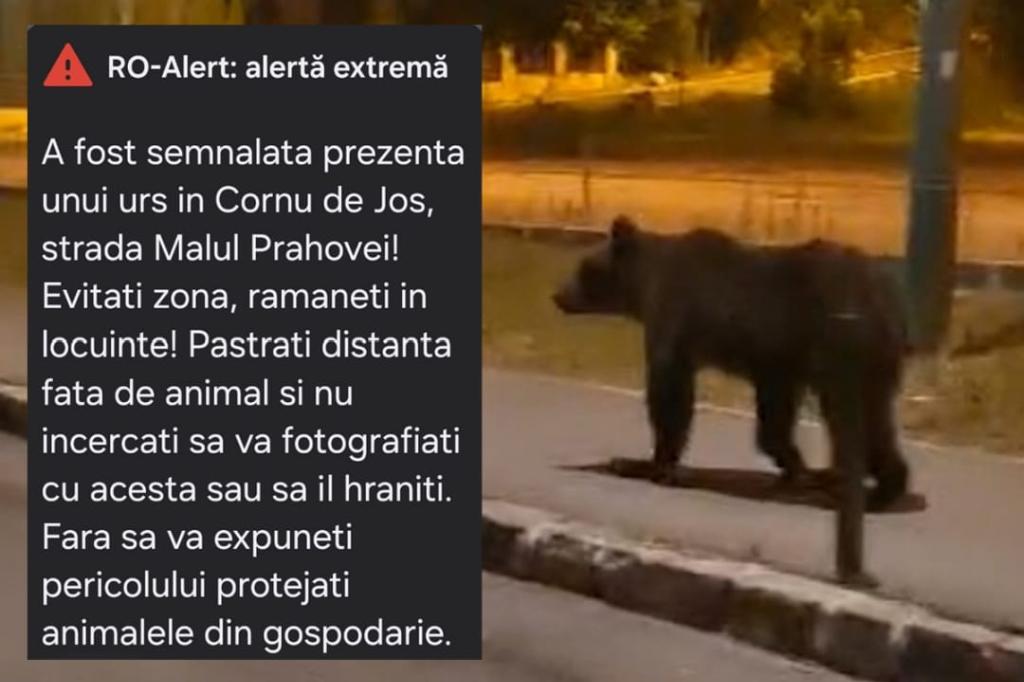 Urs la Cornu. S-a emis mesaj RO-ALERT
