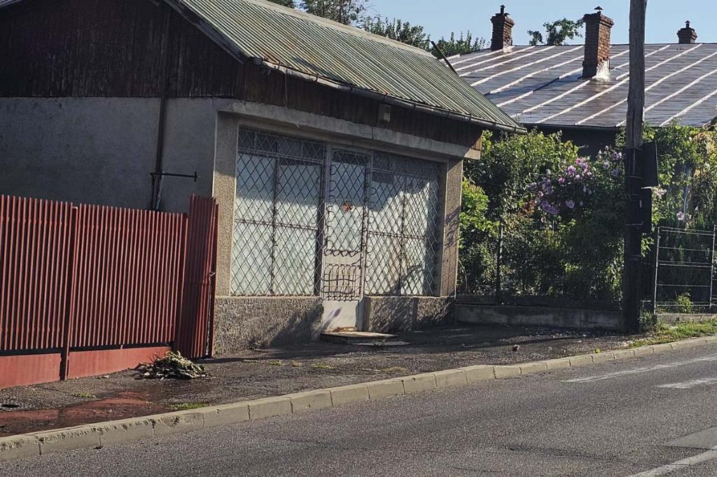 Apă potabilă, pluvială sau canalizare? Orice ar fi, curge pe stradă... La Câmpina, pe Strada Pictor Nicolae Grigorescu
