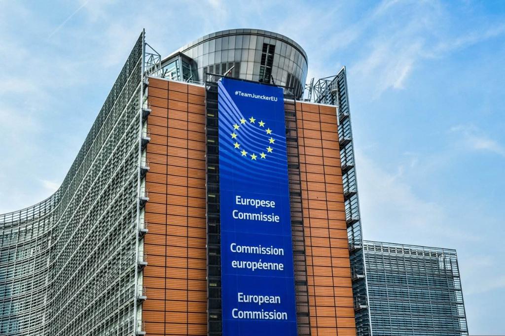 Documentele privind alegerile anulate din România au fost trimise Comisiei Europene. Concluziile anchetei vor fi făcute publice până la finalul anului