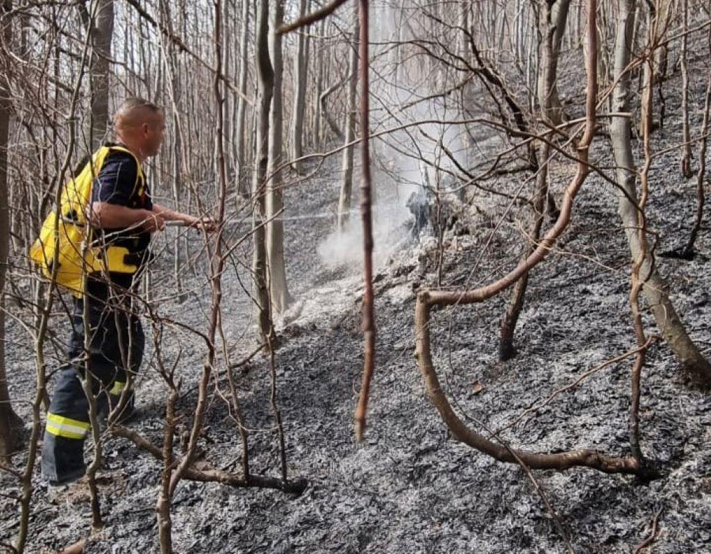 Incendiu la Valea Doftanei. Ard peste șase hectare de pădure