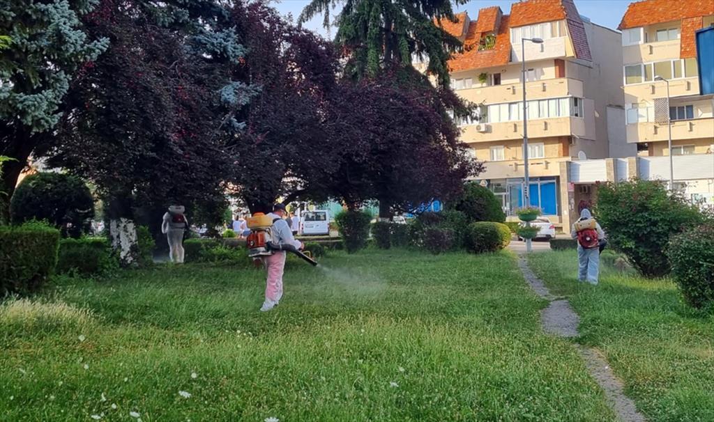 5-7 iulie, o nouă acțiune de dezinsecție în parcurile și spațiile verzi din Câmpina