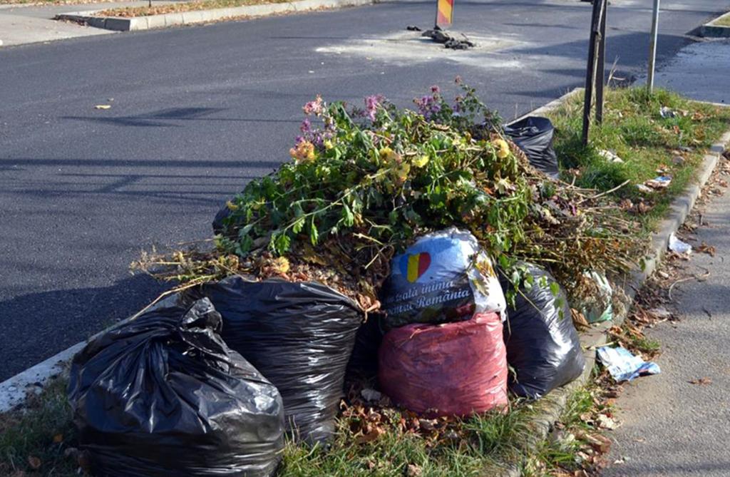 Câmpina. Programul de colectare a deșeurilor vegetale în perioada Sărbătorilor Pascale