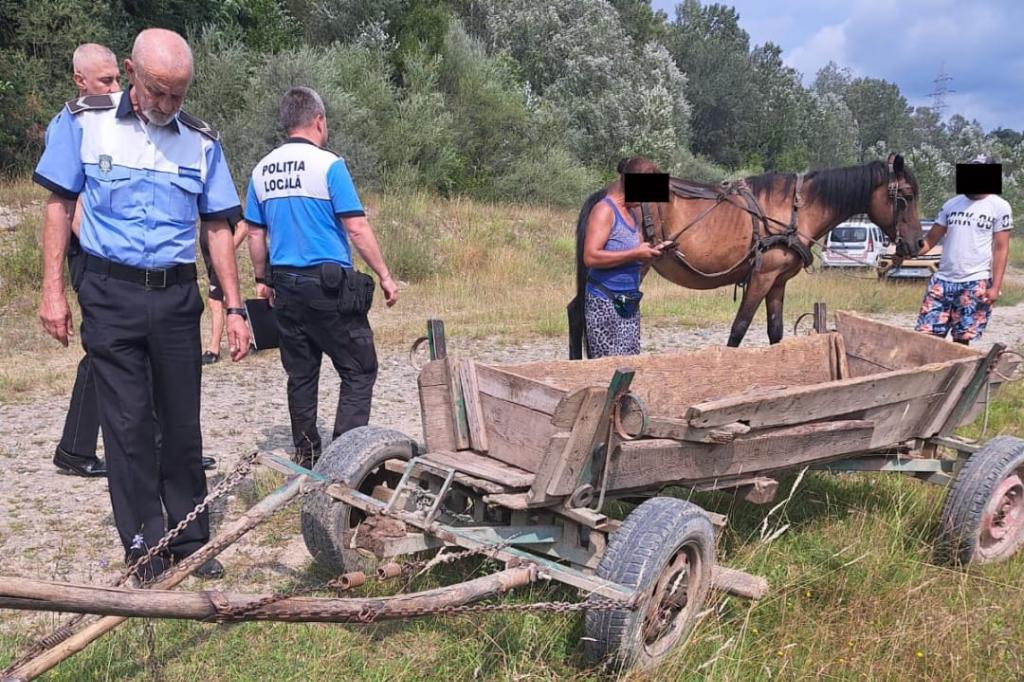 Câmpineni sancționați de Poliția Locală pentru abandonarea și incendierea deșeurilor. A fost confiscată și căruța cu care fuseseră aduse gunoaiele!