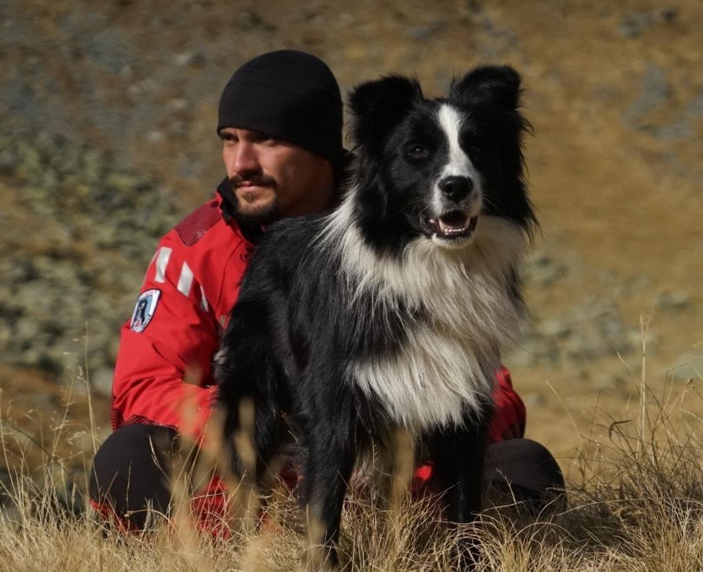 Carp, singurul câine de salvare montană din Prahova, lovit cu piciorul de o turistă și aruncat în jnepeni