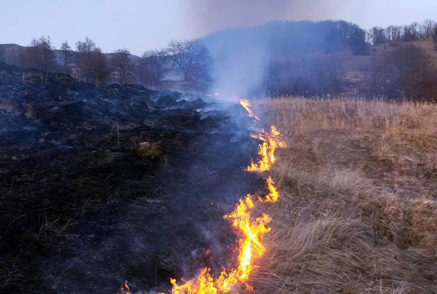 Incendiu de vegetație uscată între Provița de Jos și Poiana Câmpina