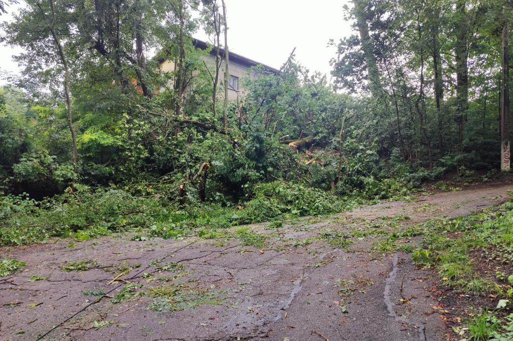Copaci rupti in mai multe zone ale Câmpinei. Furtuna a lăsat Voila fără curent electric