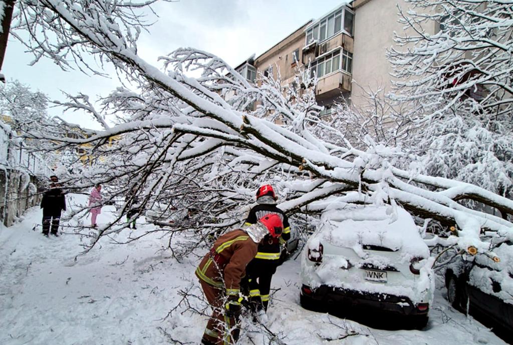 Imagini de la intervențiile pompierilor pentru îndepărtarea copacilor prăbușiți în Câmpina