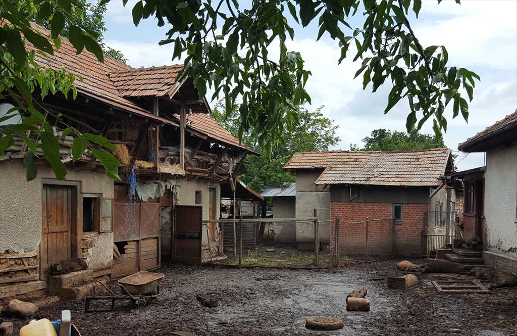 Ferma mizeriei în satul Urleta, comuna Bănești, la doi pași de Câmpina