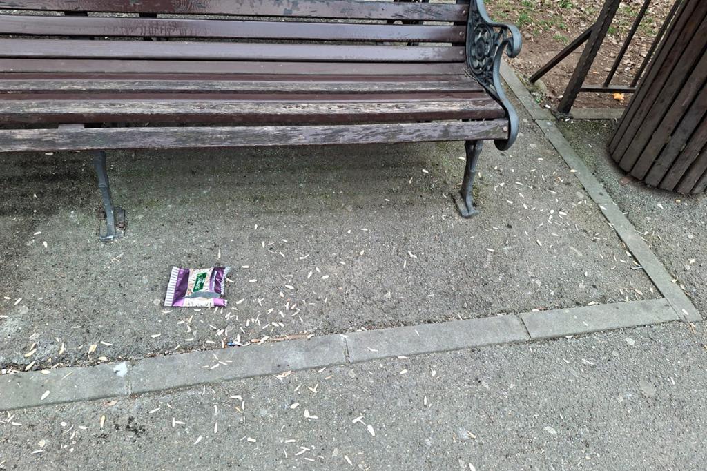 Urmele lăsate de mâncătorii de semințe strică imaginea Bulevardului Culturii, locul de promenadă al Câmpinei