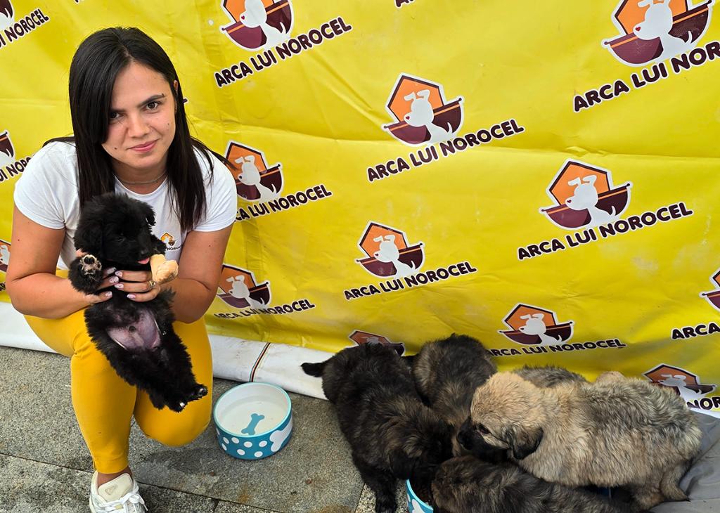 Mai mulți cățeluși salvați de “Arca lui Norocel” au fost adoptați în prima zi a “Serbărilor Toamnei”. Voluntarii asociației sunt și duminică în Pasajul de la Ceas