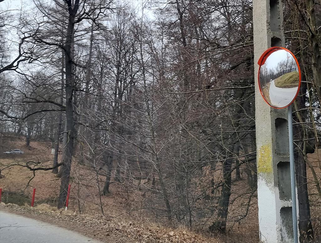 Autoritățile câmpinene au pregătit drumul ocolitor pe la Fântâna cu Cireși - au fost montate indicatoare, oglinzi și s-au toaletat copacii