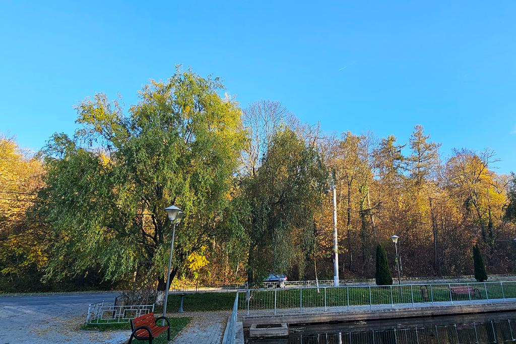 Ce va presupune modernizarea Parcului ”Dr. CI Istrati” cu infrastructură verde-albastră