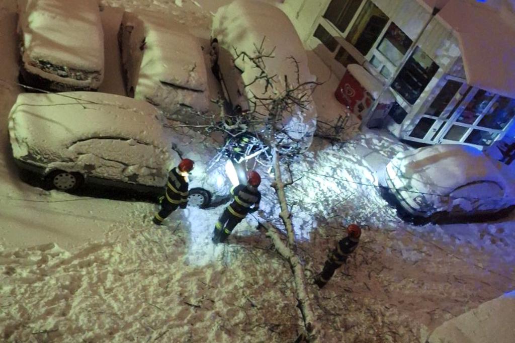 Intervenții ale pompierilor pentru degajarea copacilor prăbușiți sub greutatea zăpezii