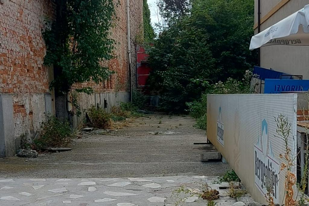 Un câmpinean se întreabă: spre ce necesități te îmbie imaginile din jurul cinematografului?