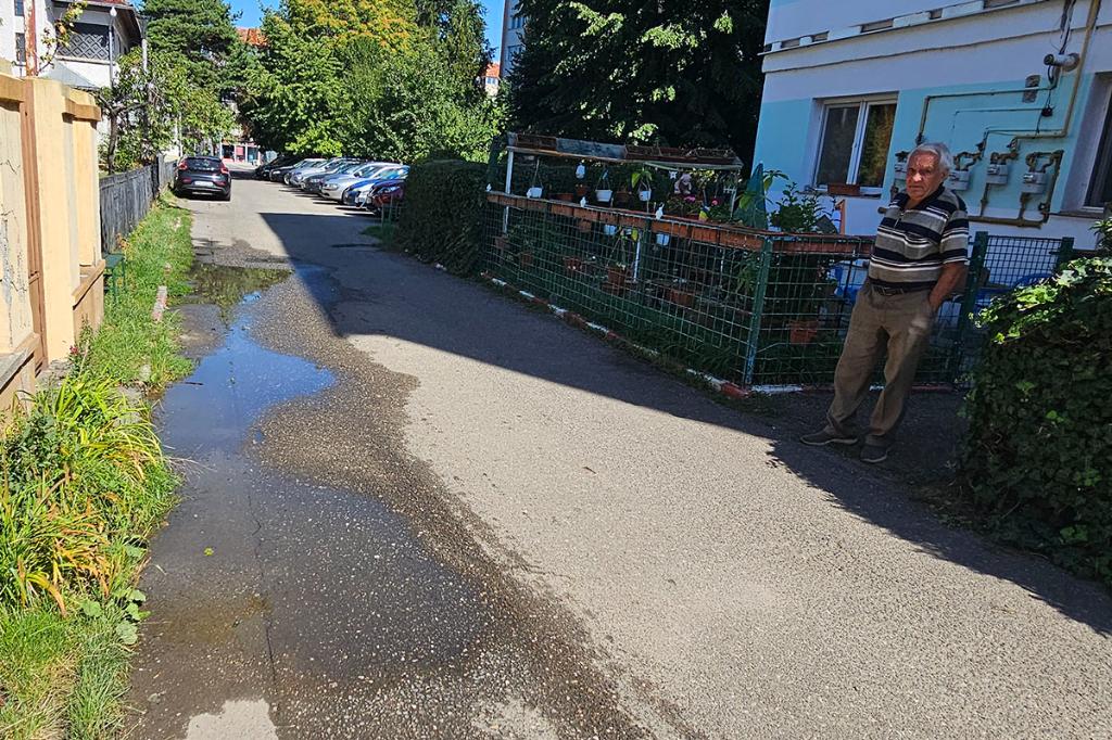 La Câmpina, pe Aleea Rozelor, oamenii spun că apa curge pe stradă de mai bine de... patru luni!
