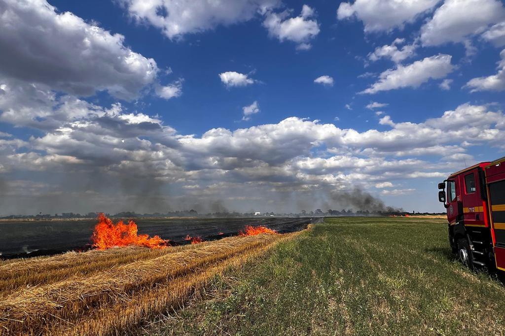 Incendiu de vegetație în zona Filipești de Târg