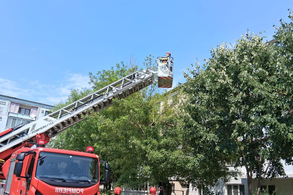 Intervenție a pompierilor pe Strada Erupției din Câmpina. O ramură ruptă dintr-un copac a fost îndepărtată