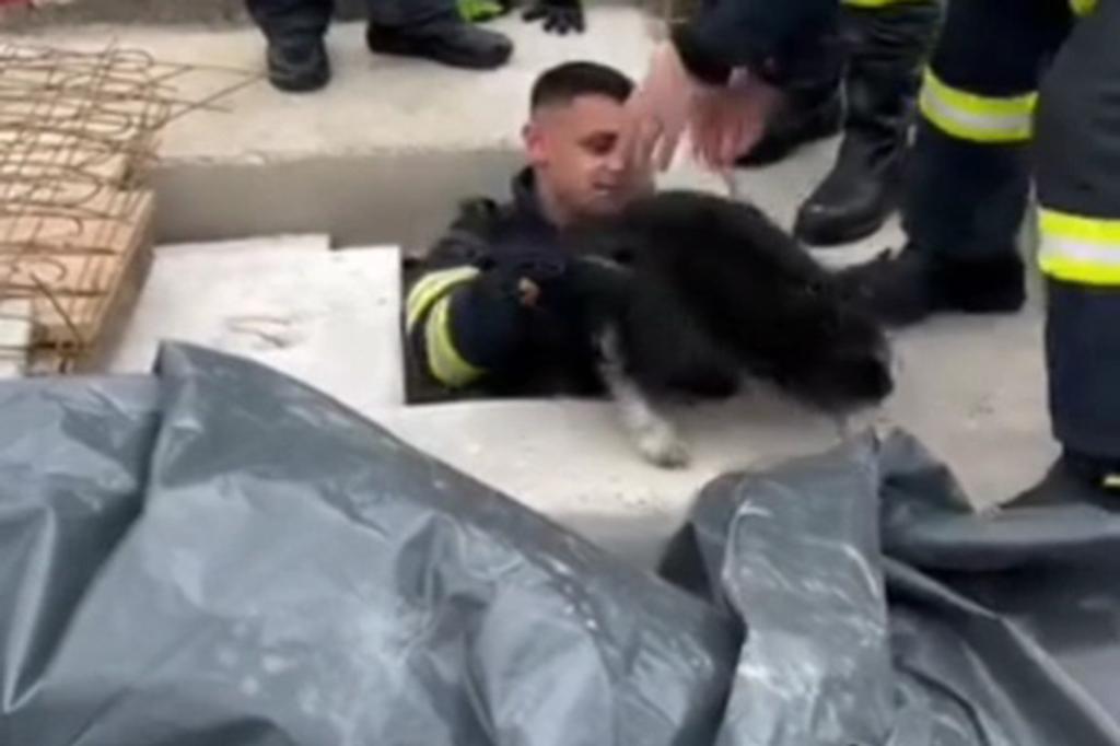 Pompierii câmpineni au salvat un câine dintr-un... cavou