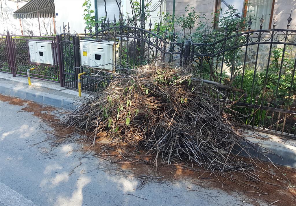 În lipsa unei comunicări între Primărie și cetățeni, deșeurile vegetale zac pe trotuare zile întregi și chiar săptămâni