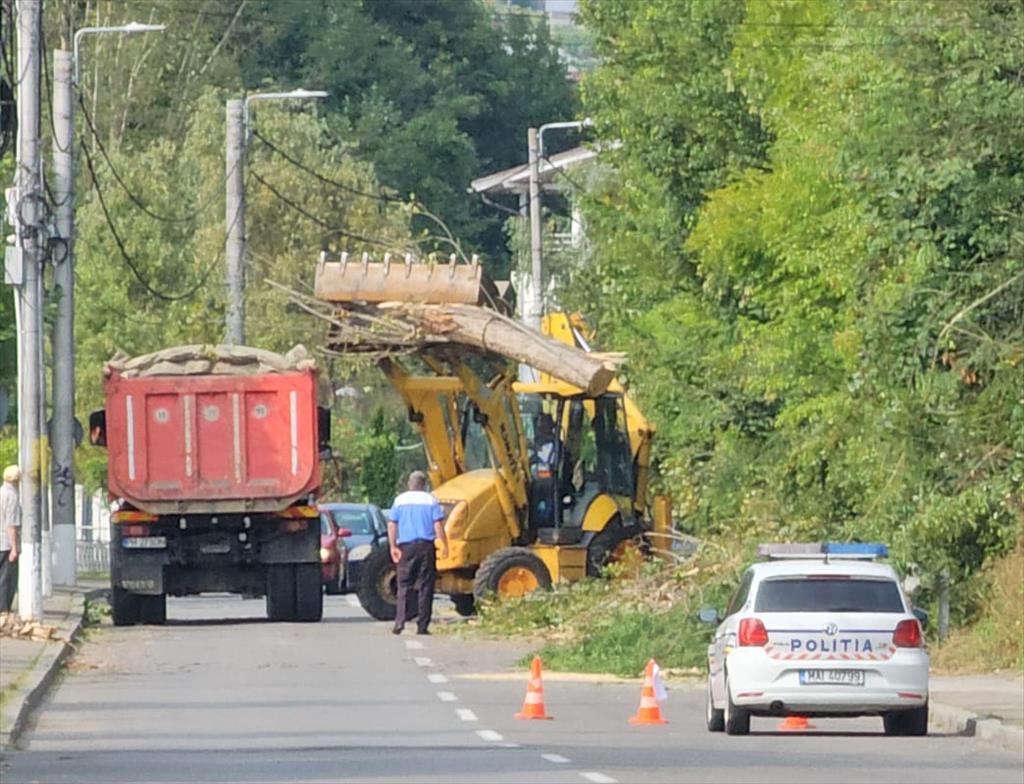 Joi, 31 august, la Câmpina s-a intervenit pentru tăierea unor copaci de la marginea Parcului ”Constantin Istrati”