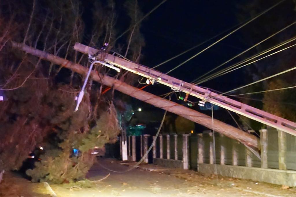 Copac doborât de vânt în cartierul Câmpinița