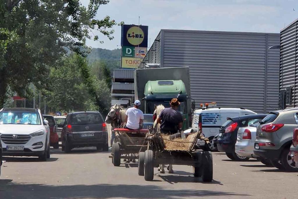 În cartierul Slobozia, din Câmpina, ca-n Vestul sălbatic