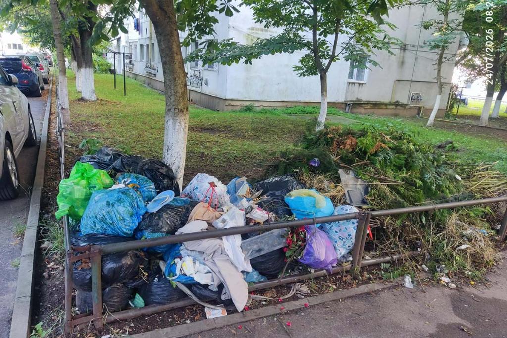 Colectare selectivă, naturală sau doar... nesimțire?