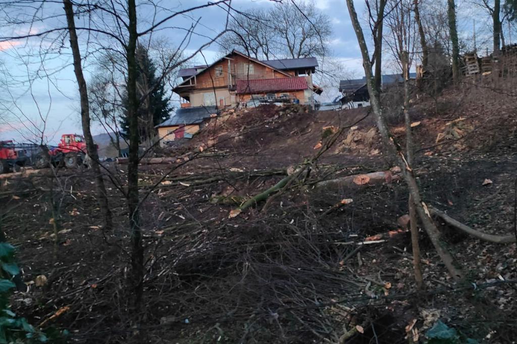 Pe Strada Constantin Istrati din Câmpina, oamenii sunt revoltați de un adevărat dezastru ecologic. Răspunsul Ocolului Silvic