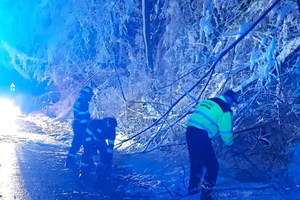 ISU și Poliția Locală Câmpina au intervenit pentru degajarea unor copaci și crengi de la Spitalul Voila spre Șotrile