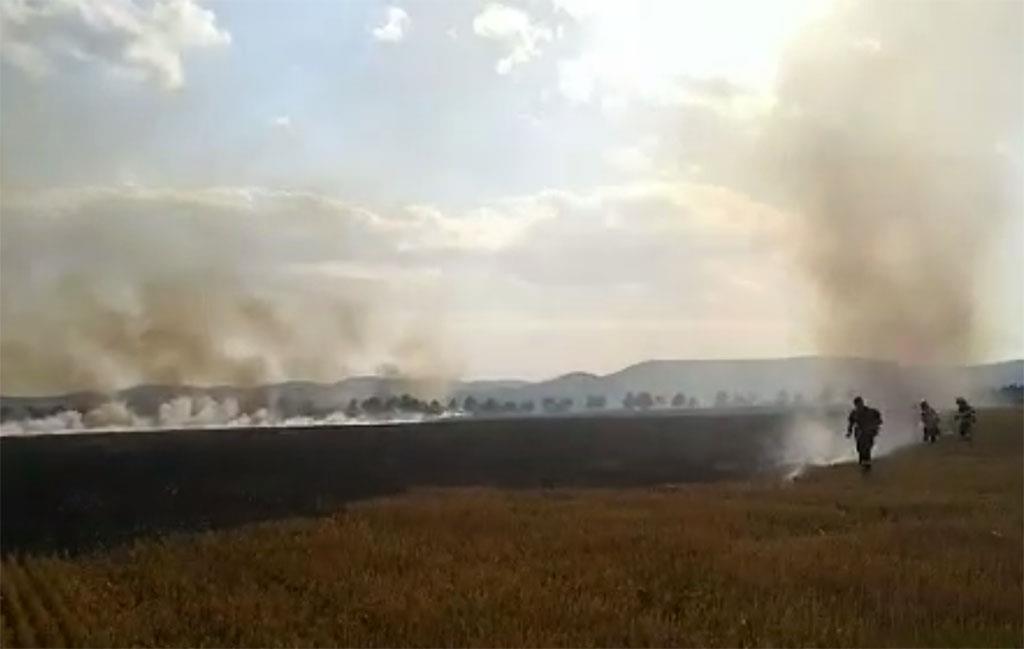 Incendiu de vegetație pe DN1, la Bănești. Trei autospeciale ale pompierilor intervin pe o suprafață de peste 5 hectare